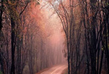 遛弯放松，澳大利亚全队在杭州街头漫步.