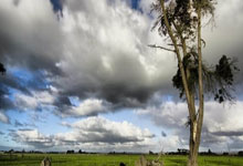 荆州马拉松激情开跑 中外选手齐聚历史文化名城3-30 16：51.