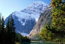 爱游戏：佩顿重伤恐离队！勇士面临续约难题，底薪留人还是放手.