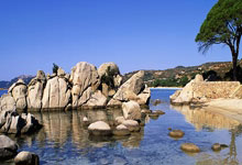 十五运会乒乓球资格赛收官！晋级名单出炉！ “诗与远方”在列！粵乒团体全.